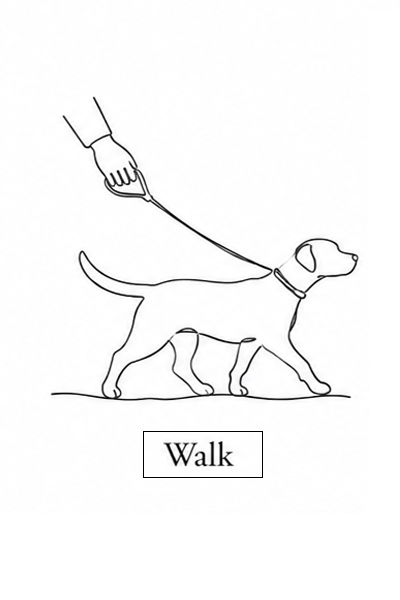 Walk