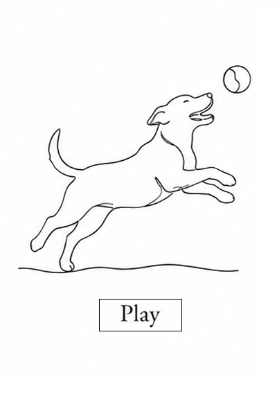 Play