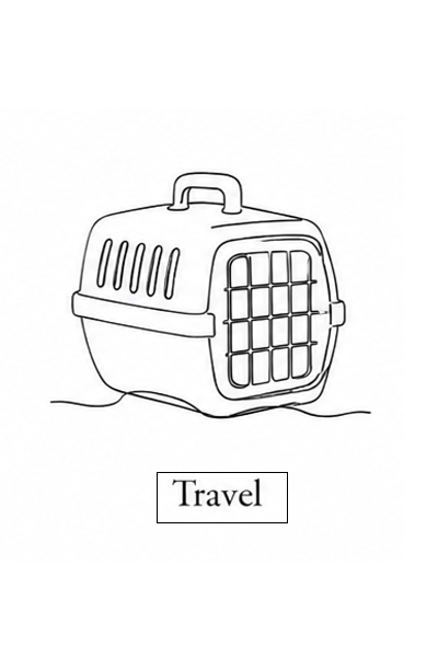 Travel