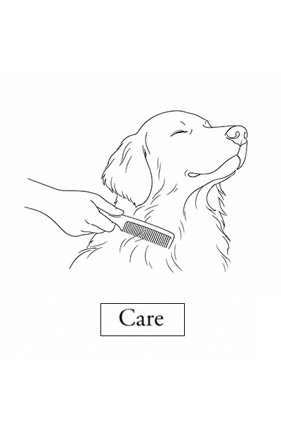 Care
