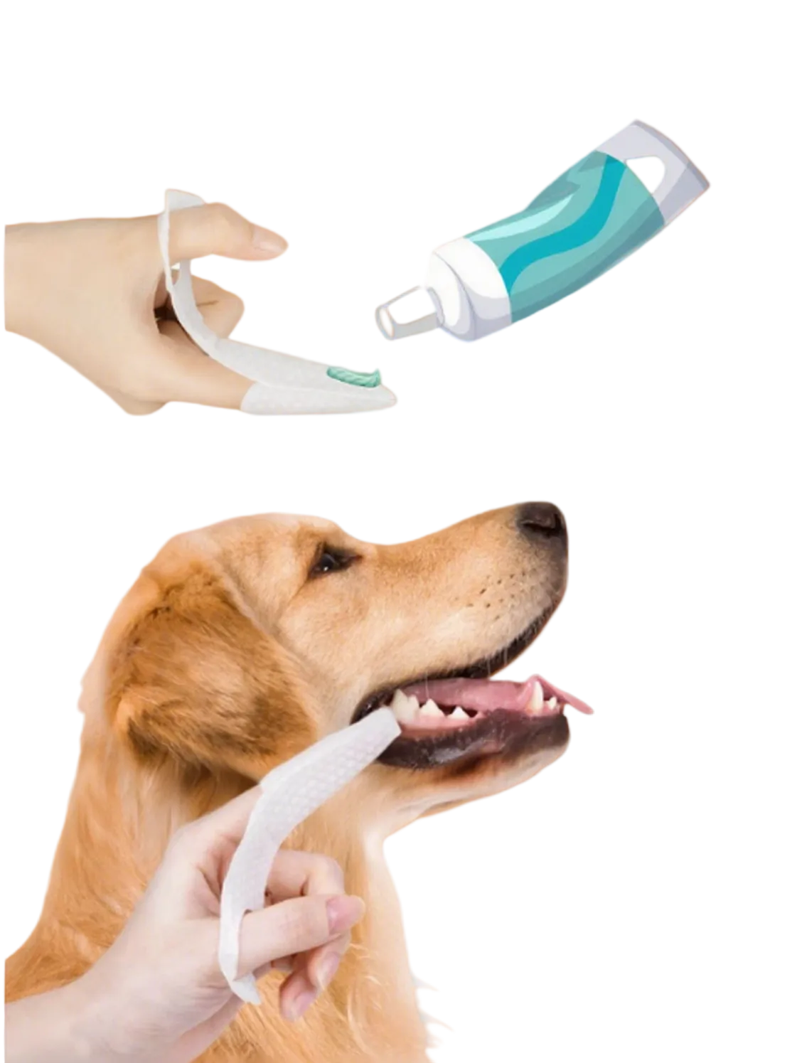 Dr. Milou Pet Dental Finger Wipes – Daily Oral Care
