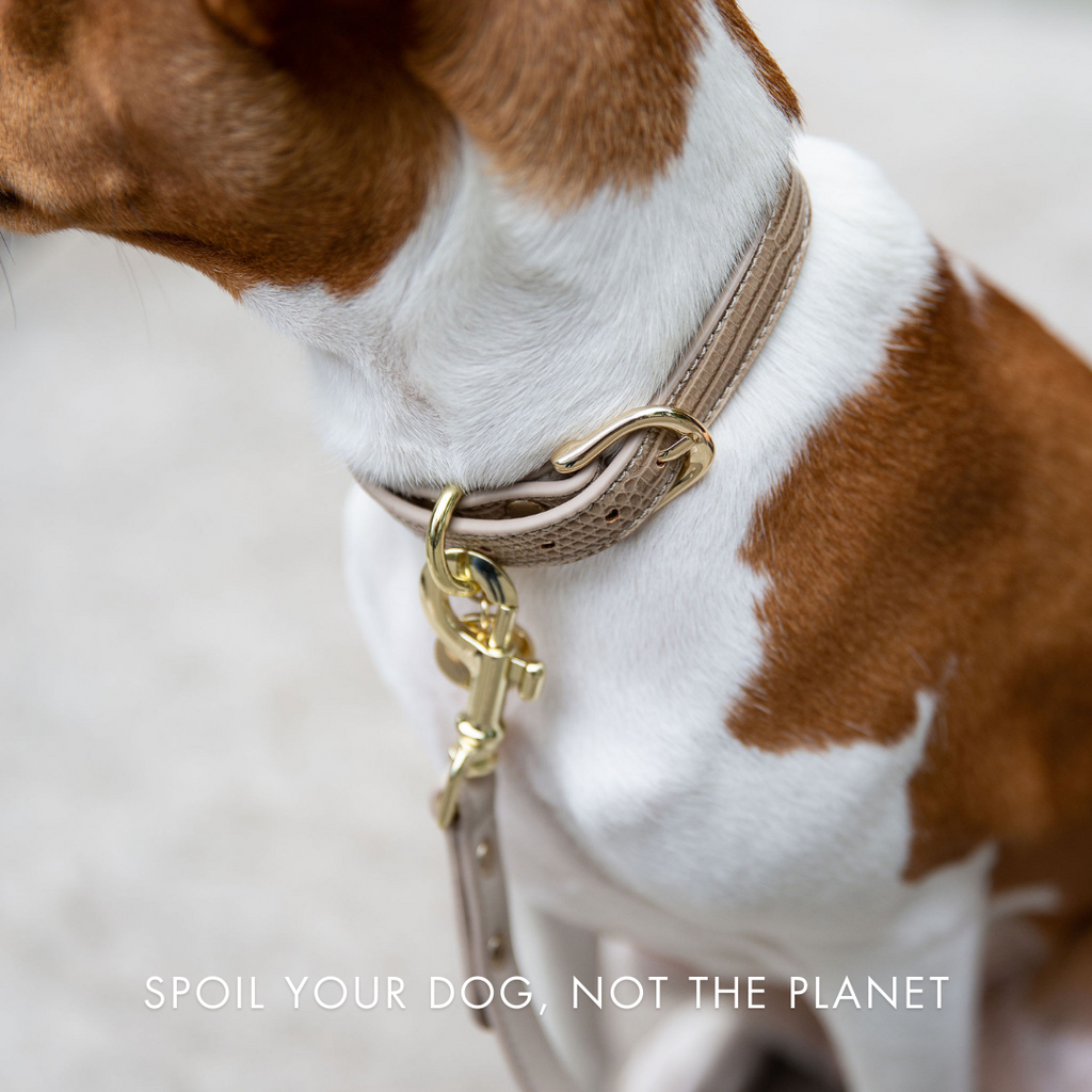 Leash 4ft - Vegan Leather - Milan