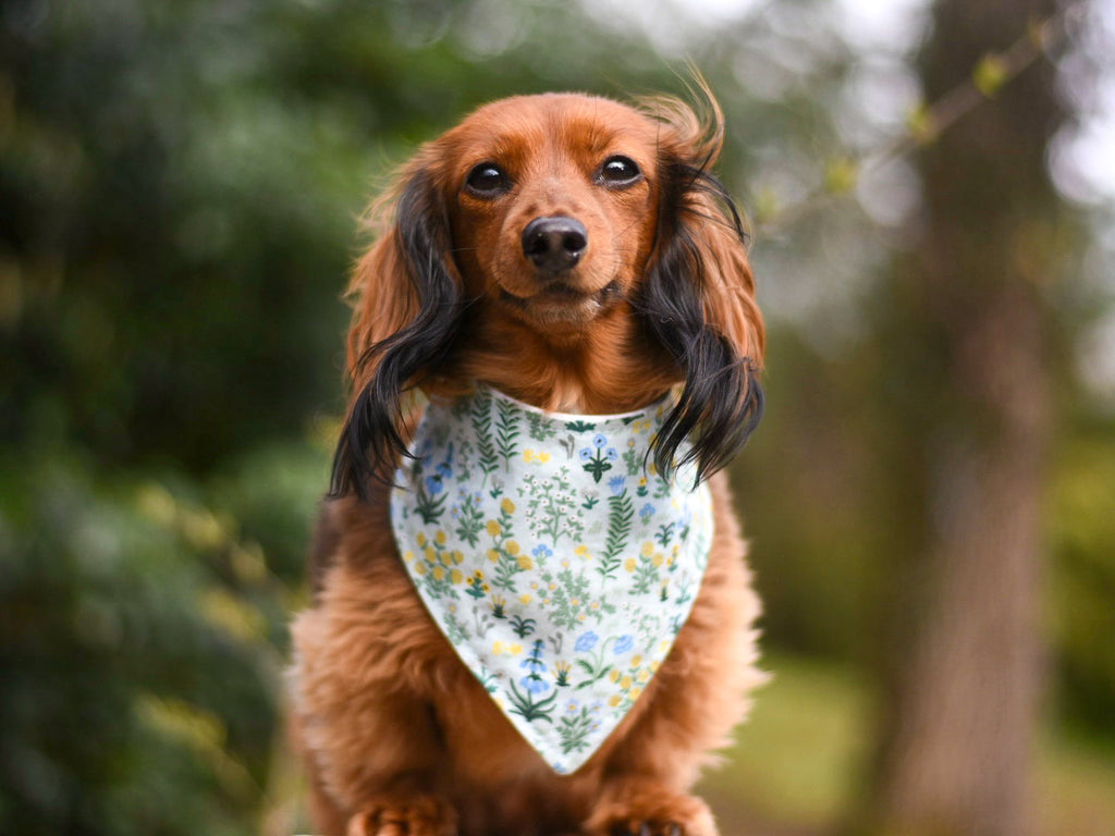 "Grey Planets" Dog Bandana