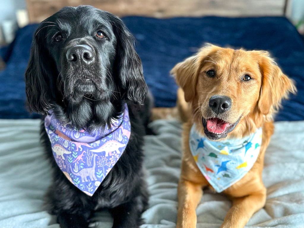 "Orange Bees" Dog Bandana