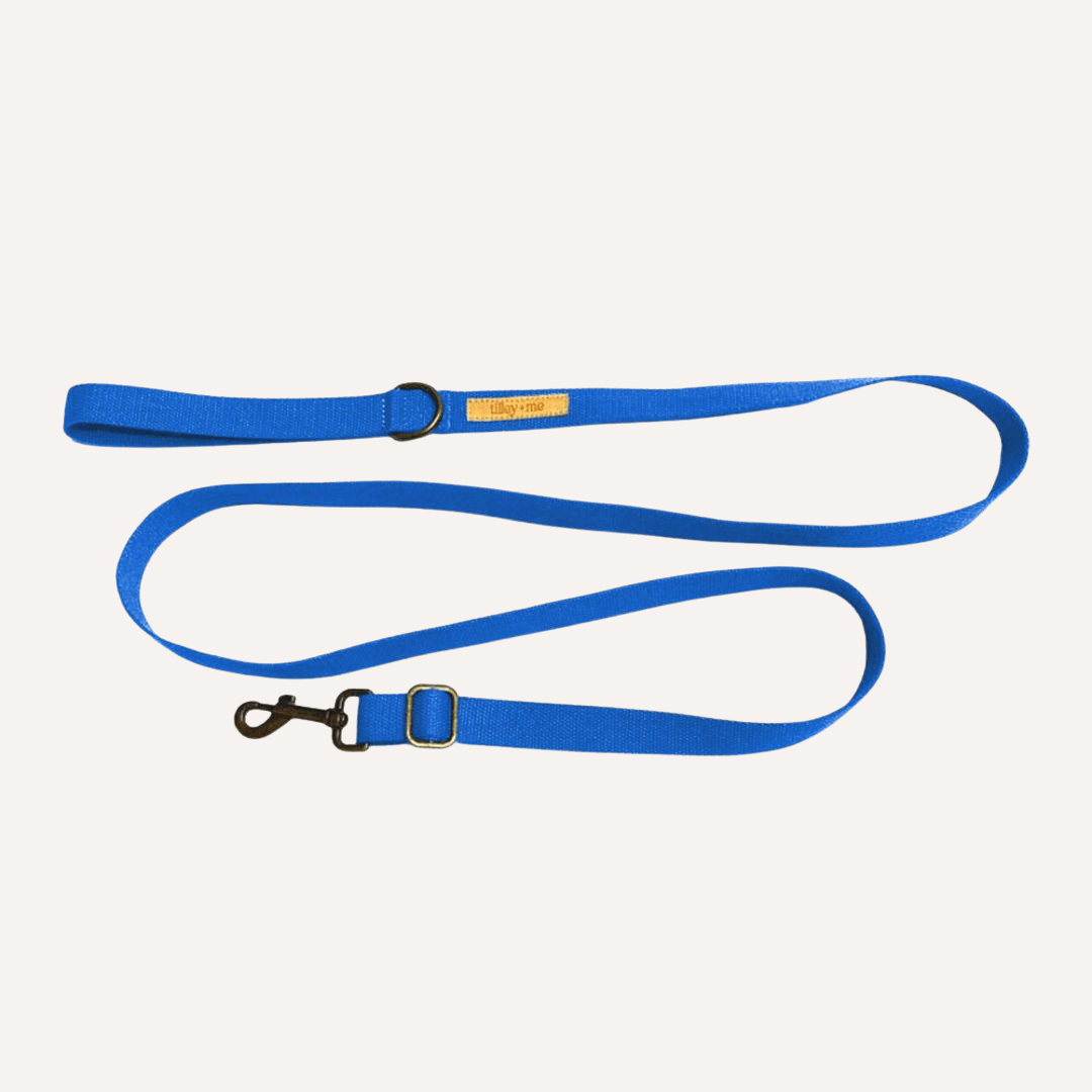 Tilley + Me Hemp Cotton Dog Leash - Durable, Sustainable, Adjustable, Lightweight & Soft-Malibu