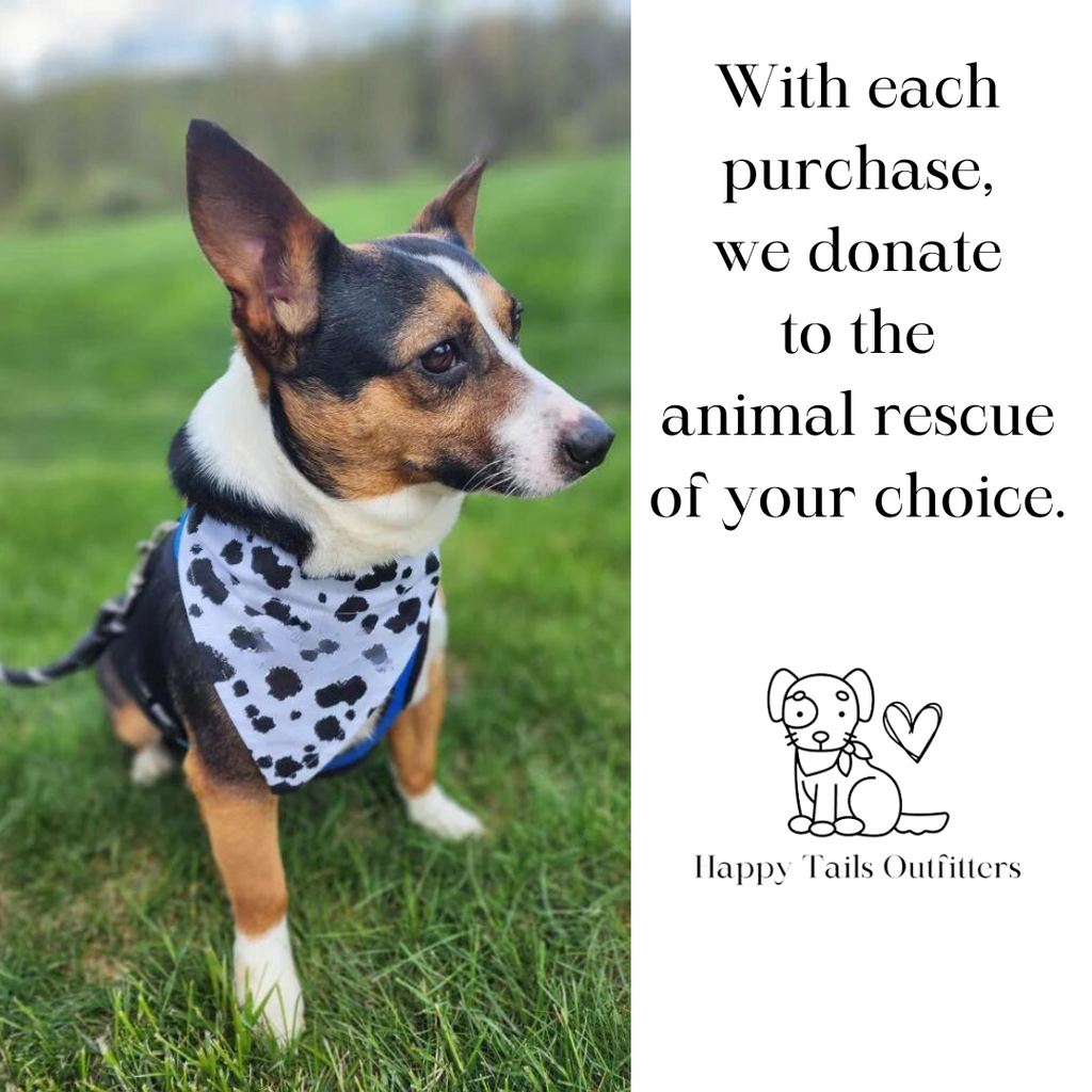 Daisy Dog Bandana