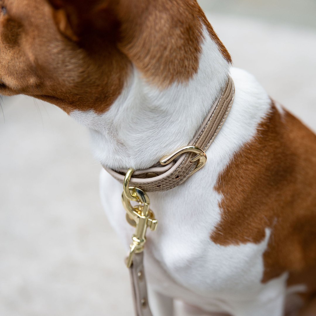 Collar - Vegan Leather