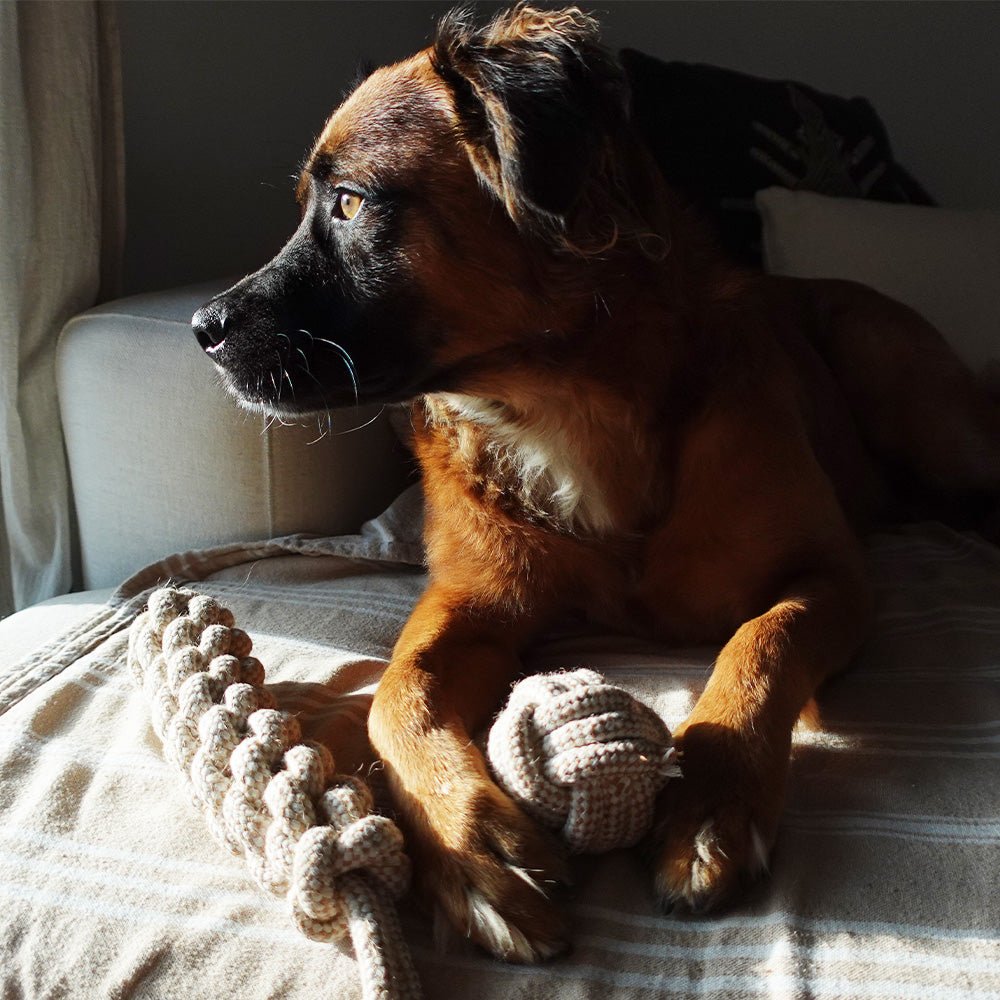 Tilley + Me Indestructible Hemp Rope Ball Toy - Sustainable and Non-Toxic Pet Toy
