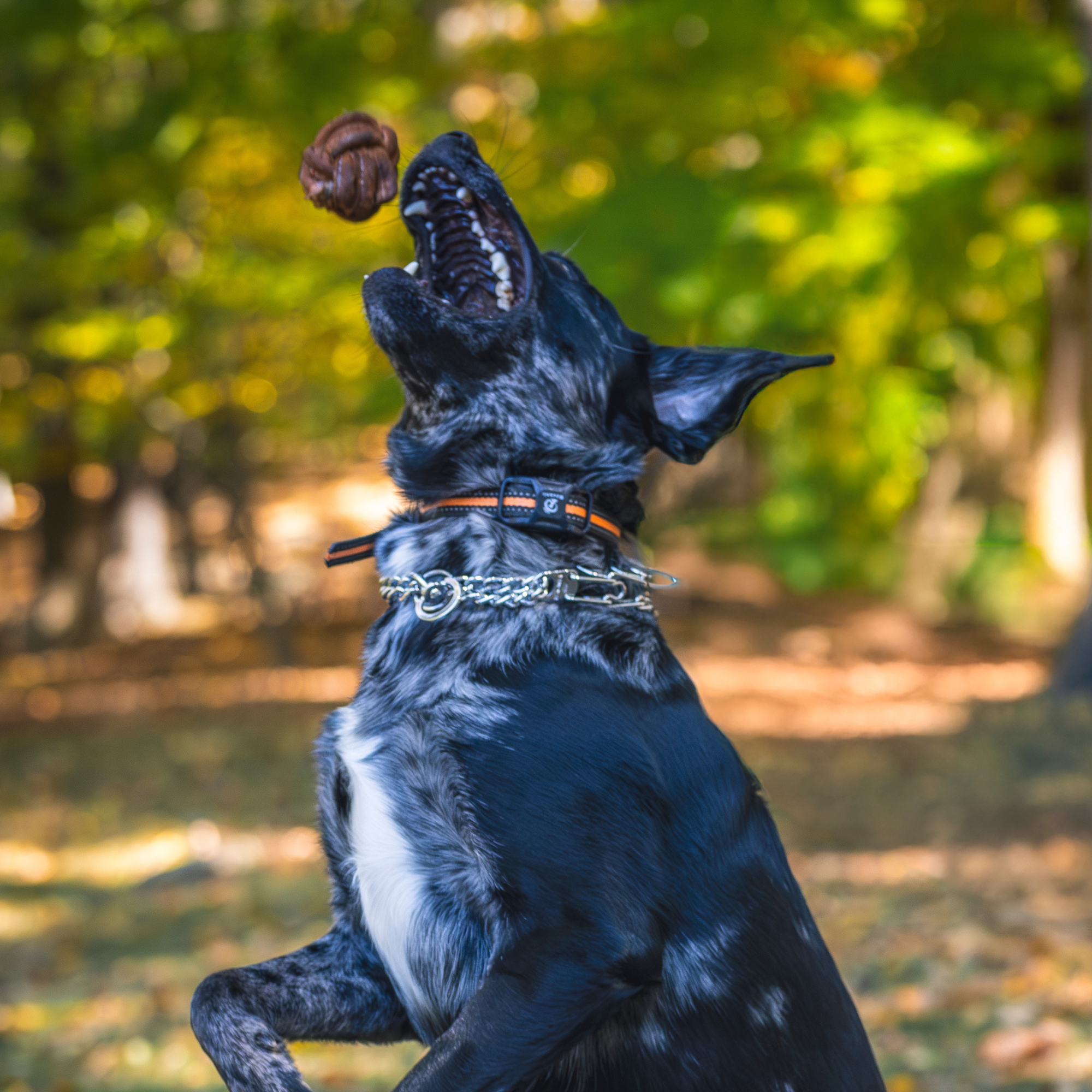 Huggle-Hide Natural Leather Ball Dog Toy