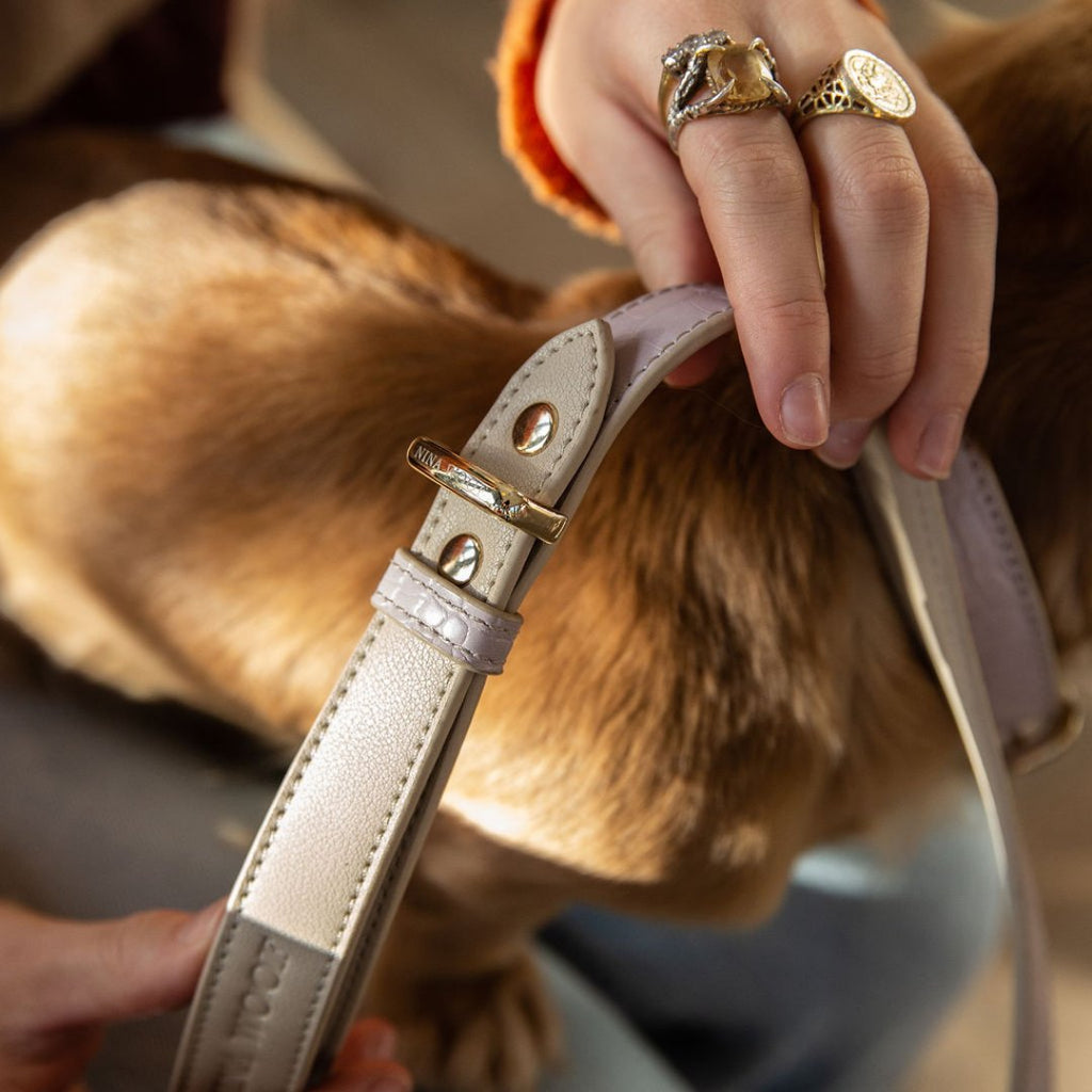 Leash 4ft - Vegan Leather - Milan