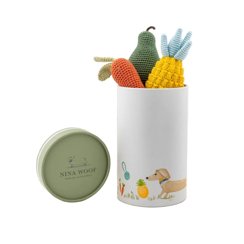 Organic Veggie Toys Bundle